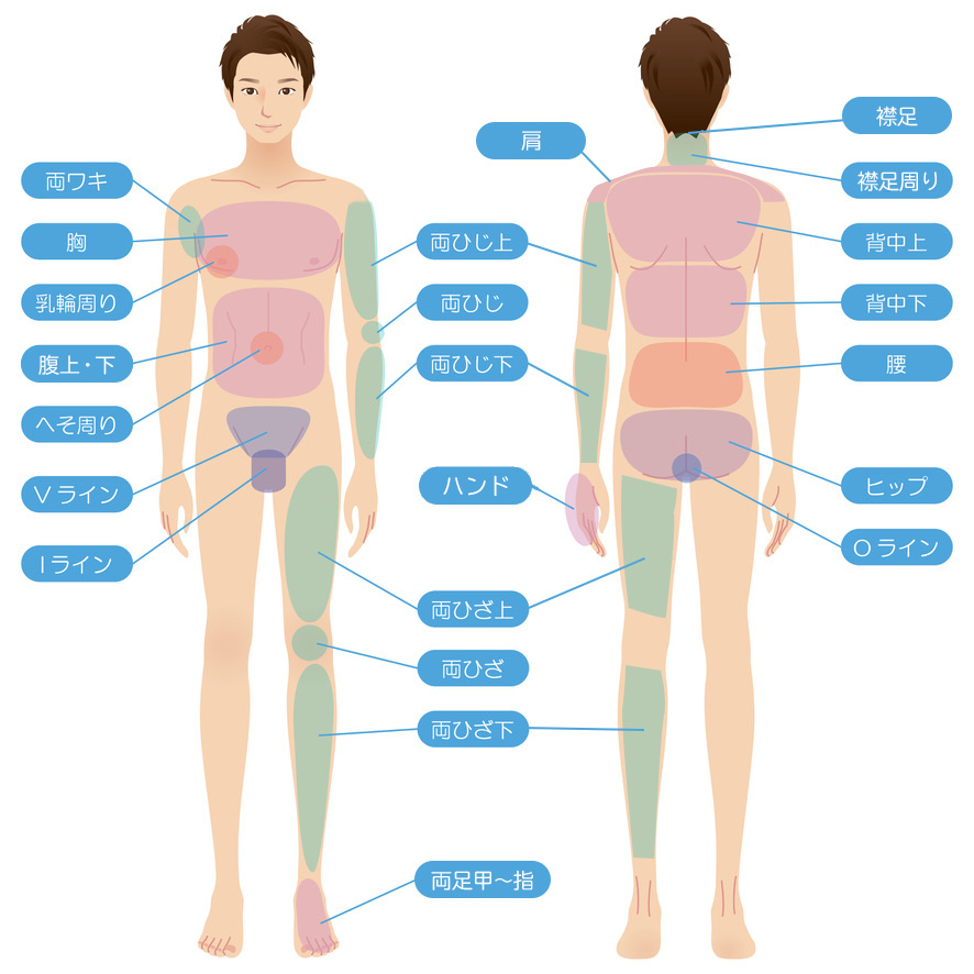 メンズ全身脱毛も行っております