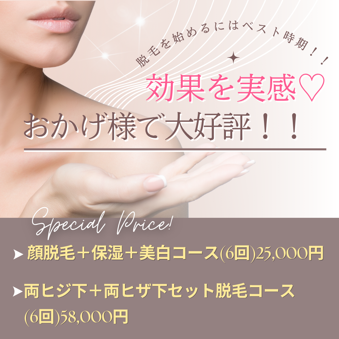 2511月キャンペーン